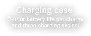 Charging case (3-hour battery life per charge and three charging cycles)